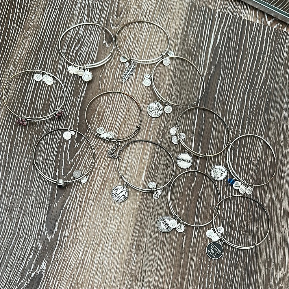 11 Alex and Ani Silver Charm Bracelet Set